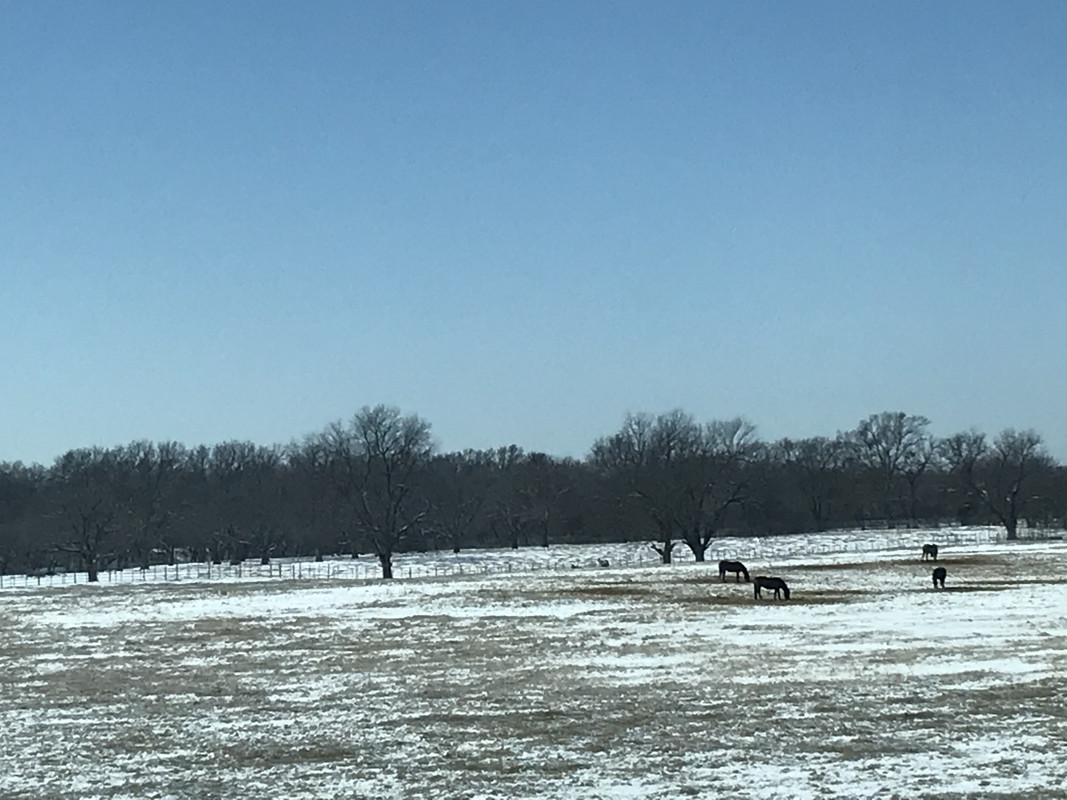 B79196FE-7CCB-48F7-B19A-E0549A9AD346