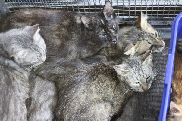 026451E5-A2D7-41CE-8037-E9AC46BC2FCE