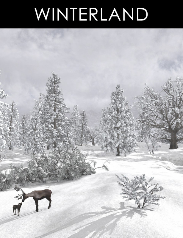 Winterland Winterland