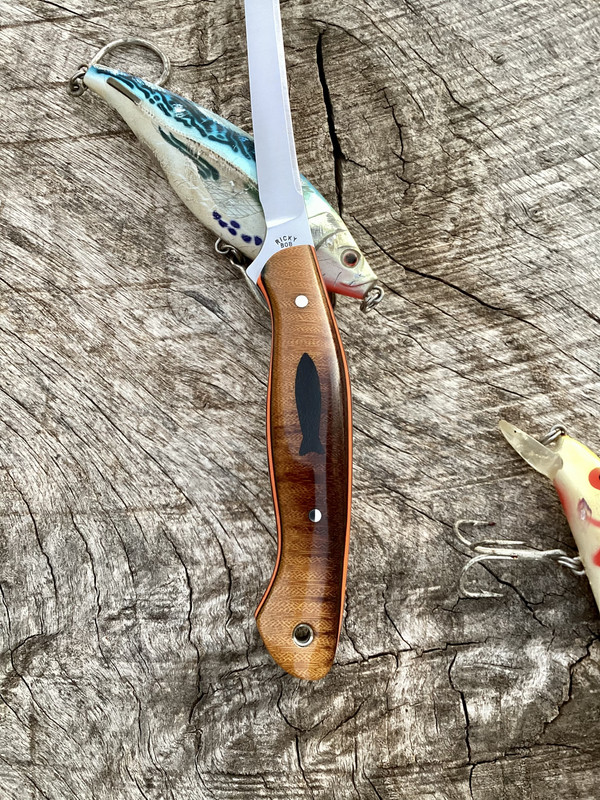 58110543-942D-42AD-9359-5D76283E8114