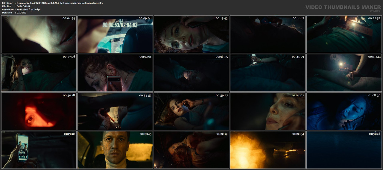 trunk-locked-in-2023-1080p-web-h264-deftspectacularkoelofdomination-mkv.jpg
