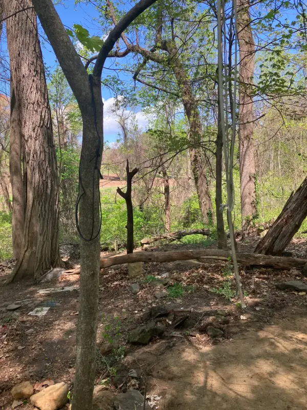 77F93FE5-0C06-4E52-A288-053128D5A143