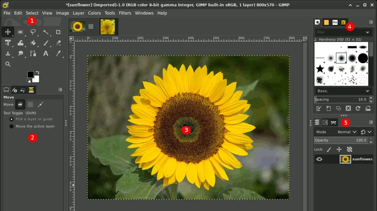 ¿Cuál es la versión gratuita de Photoshop y de otros programas para PC?