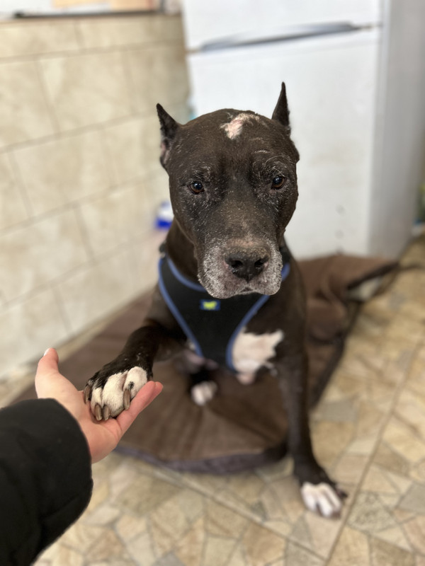 A07F0CC9-B0A3-4B6A-9C7E-67DDB3C08755