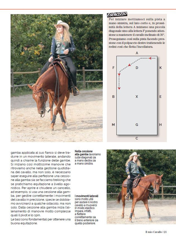 Il Mio Cav (Dic 2022-Gen 2023) 10