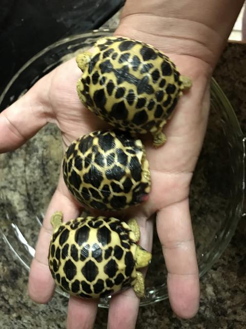 B528DCA1-7747-48DA-A918-F13E5D9E424E