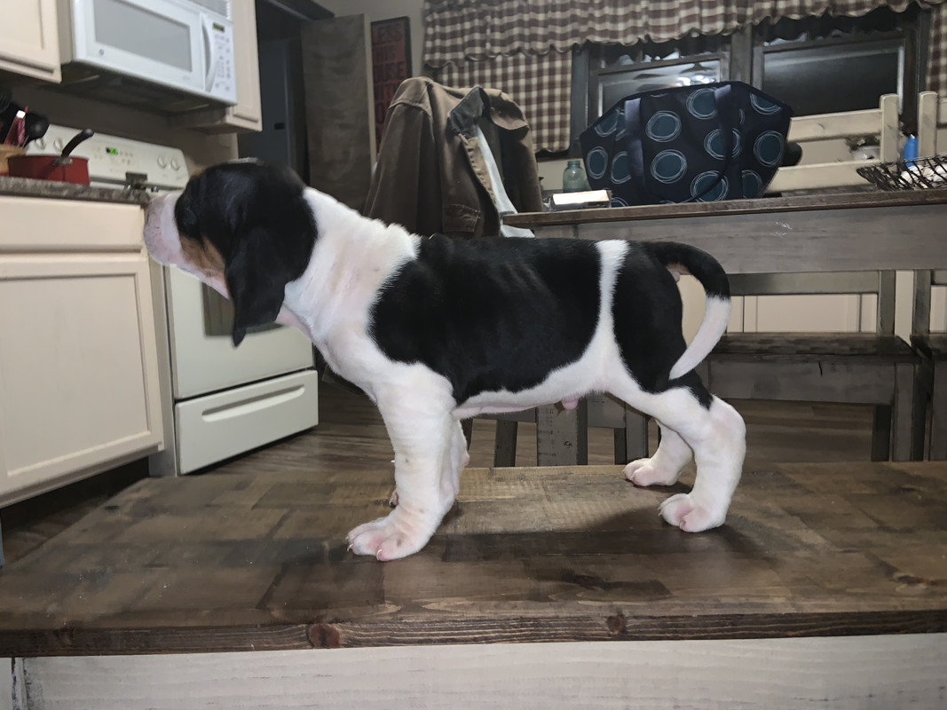 97E5505C-E38A-4F68-9103-FBF9F82DF6A9