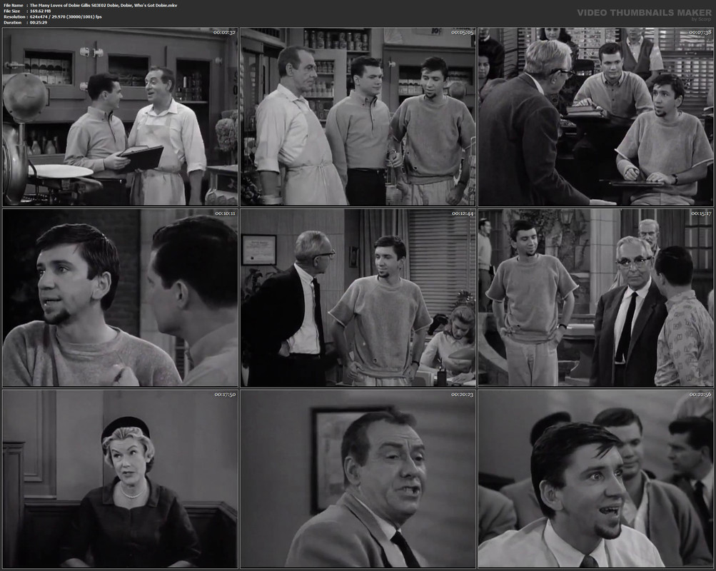The Many Loves of Dobie Gillis S03E02 Dobie, Dobie, Who's Got Dobie.mkv