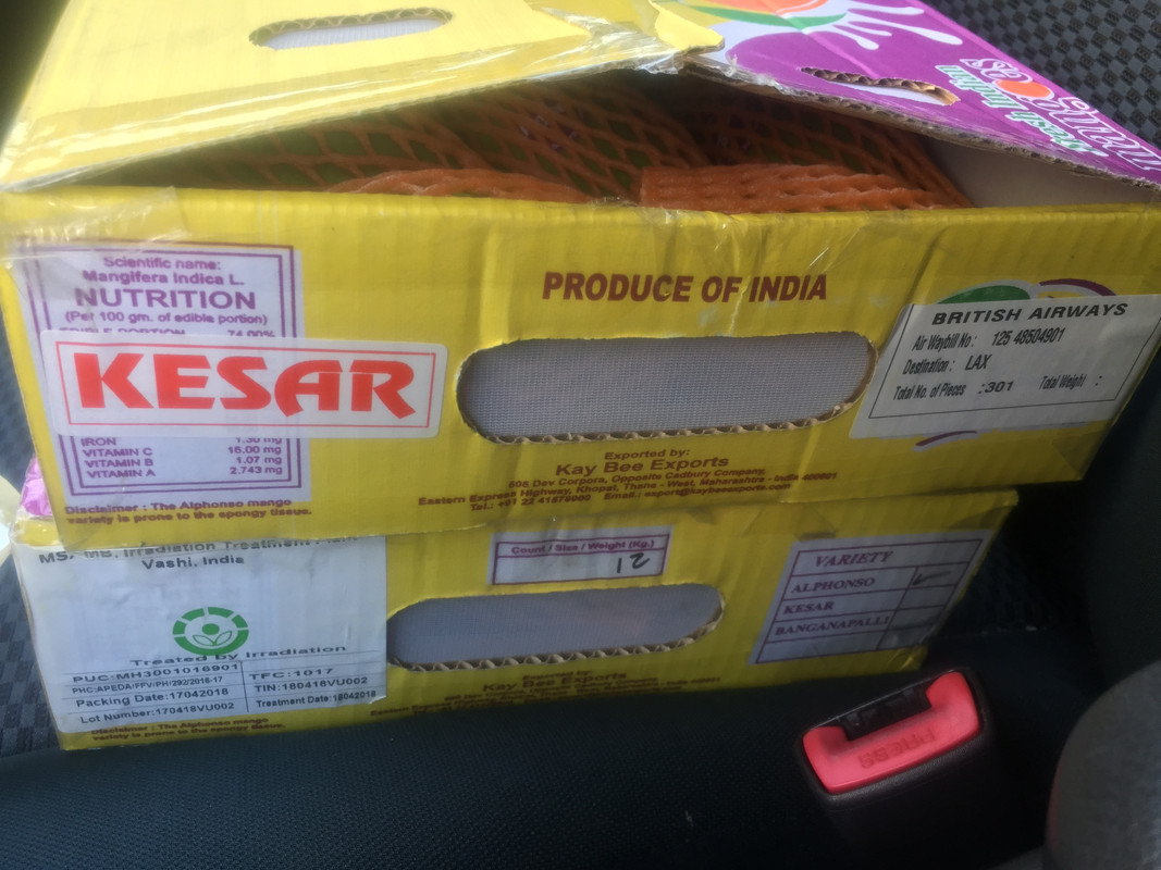 4B7D2A37-4682-4CC2-BCA9-91B469834F8F