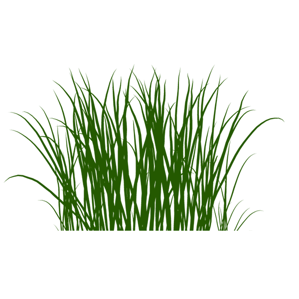 KBK_BunnyTrail (144)