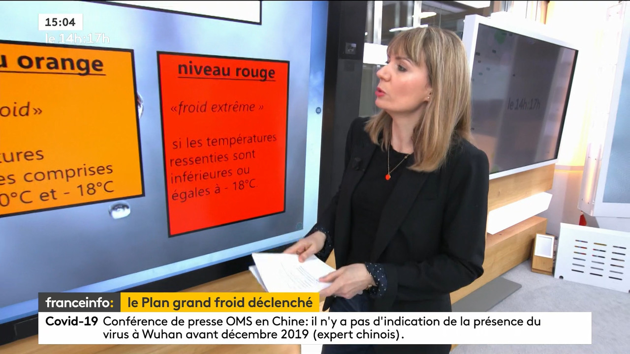 02.09 - 12.59.00 - Le 14h-17h. Au sommaire   Vrai ou fake. - francein..._001.ts_snapshot_00.17.383