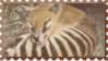 made by @transmascgarfield on tumblr