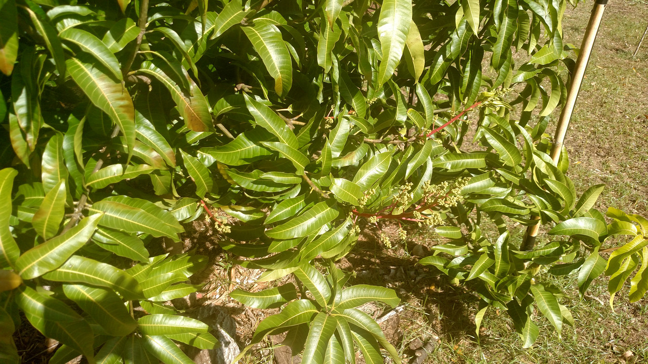 IMG_20190125_131630026