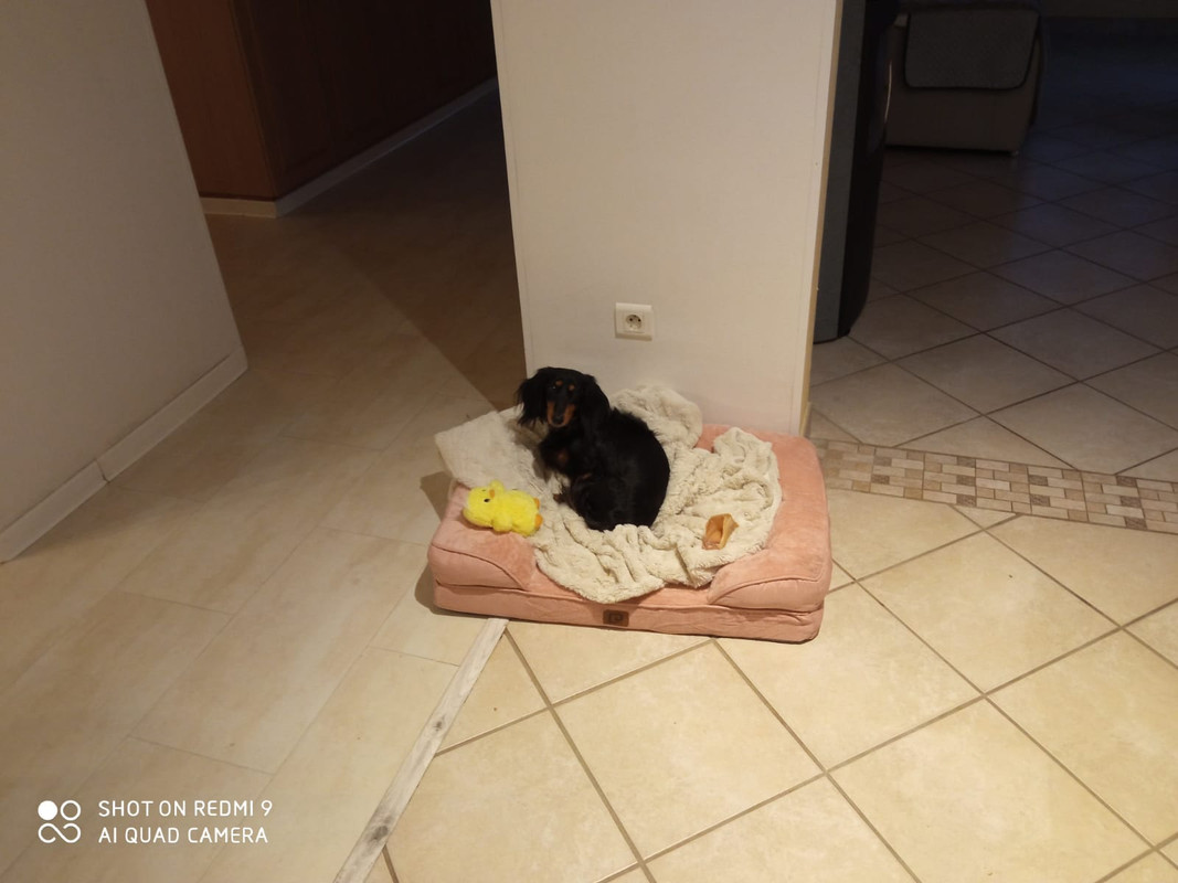 [Image: IMG-20241229-WA0002.jpg]