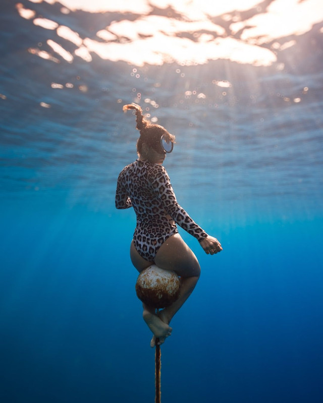 SUR-DIVE368Captivated by the underwater world 📸 @eslampiko x @vera_giampietro