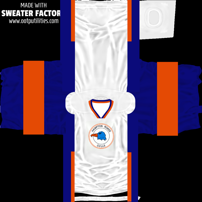 jersey_hampton_roads_gulls