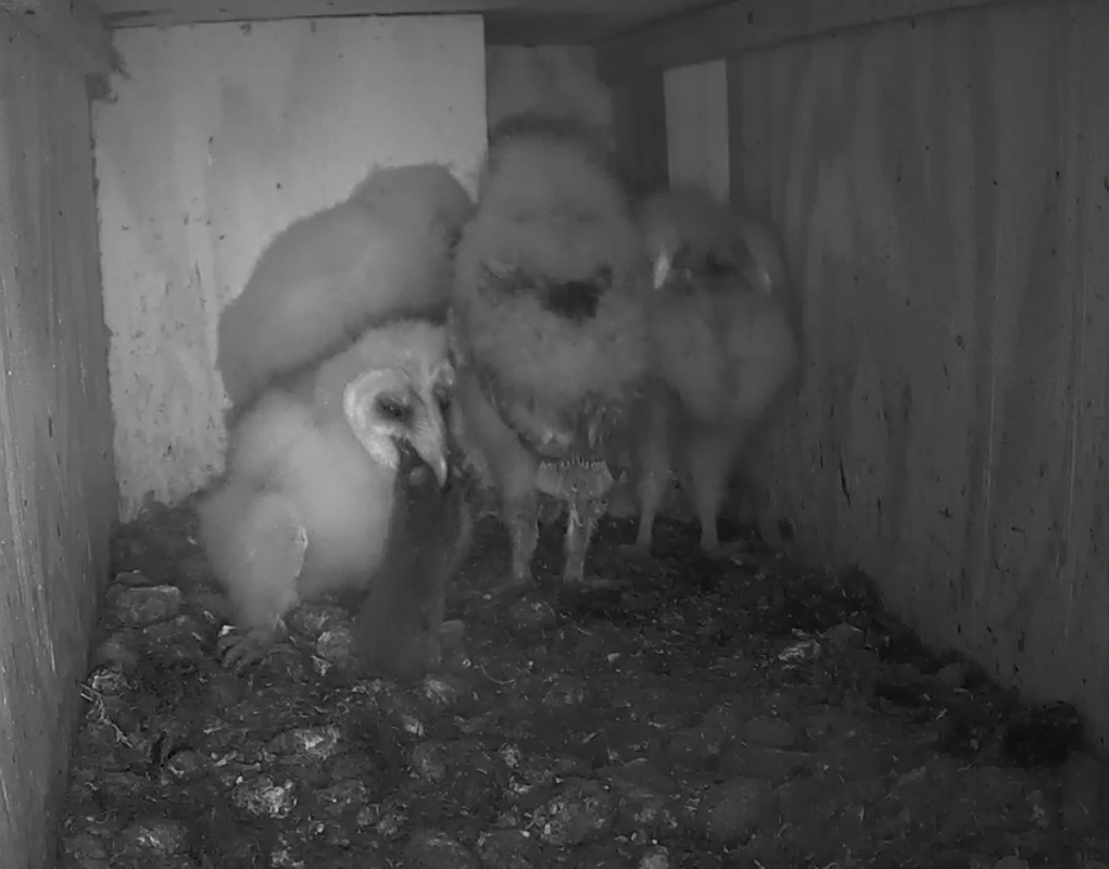 Img 20230629 001021 Postimages