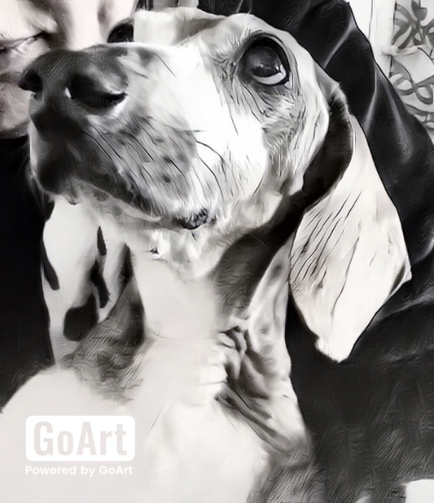 [Image: IMG-9186.jpg]