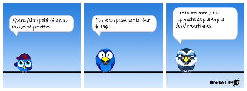 [JEUDI] - Les Birds - Page 9 2024-01-25-b-01