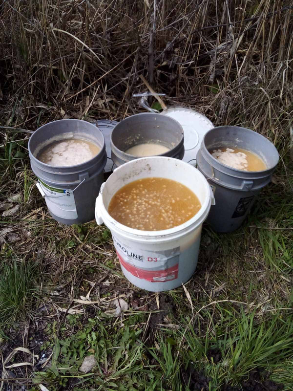 изображение_viber_2021-05-18_18-52-38