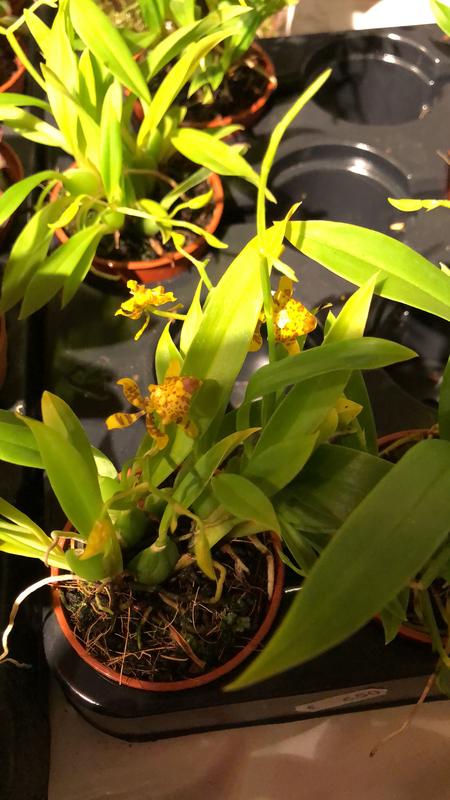 3CFB6F20-7B69-4D13-B1CB-1F1C1B479584