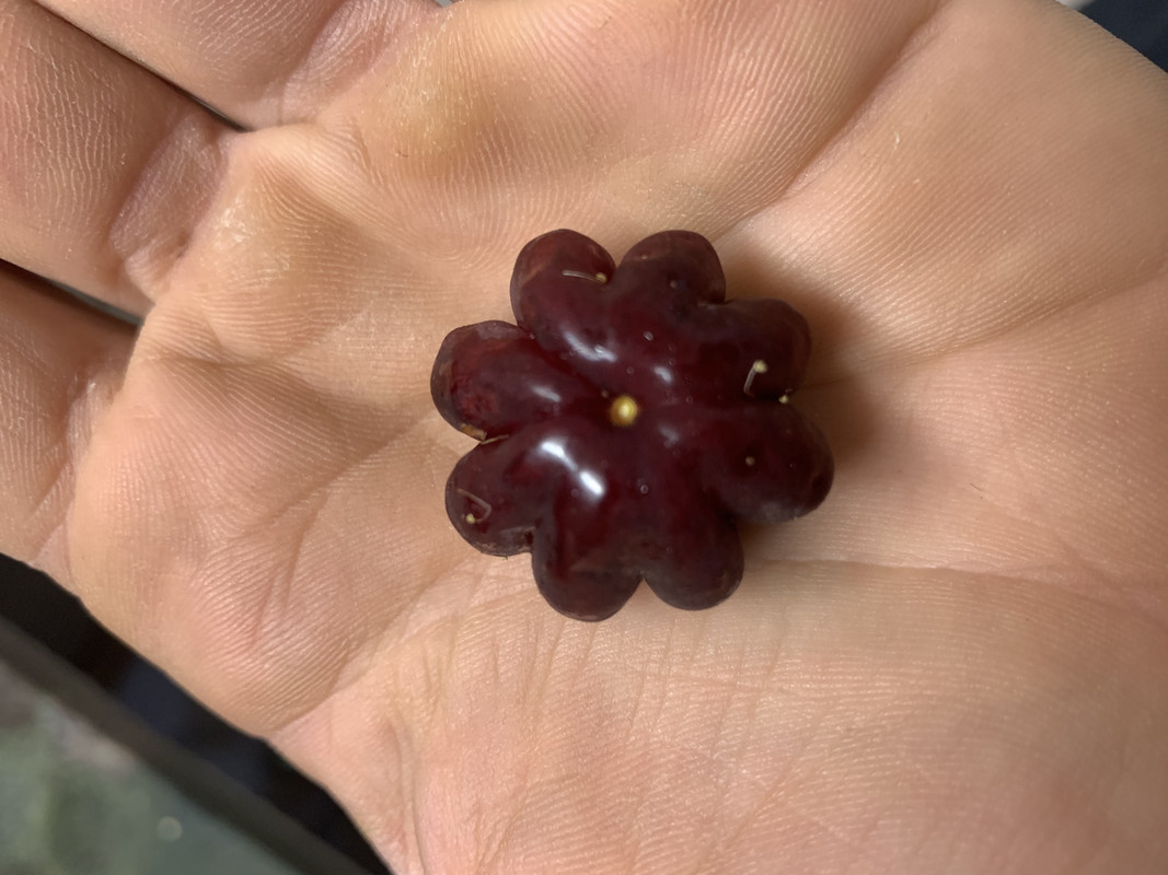 EDB6D2B6-3E0B-4D50-BAC5-F5E22142DD2F