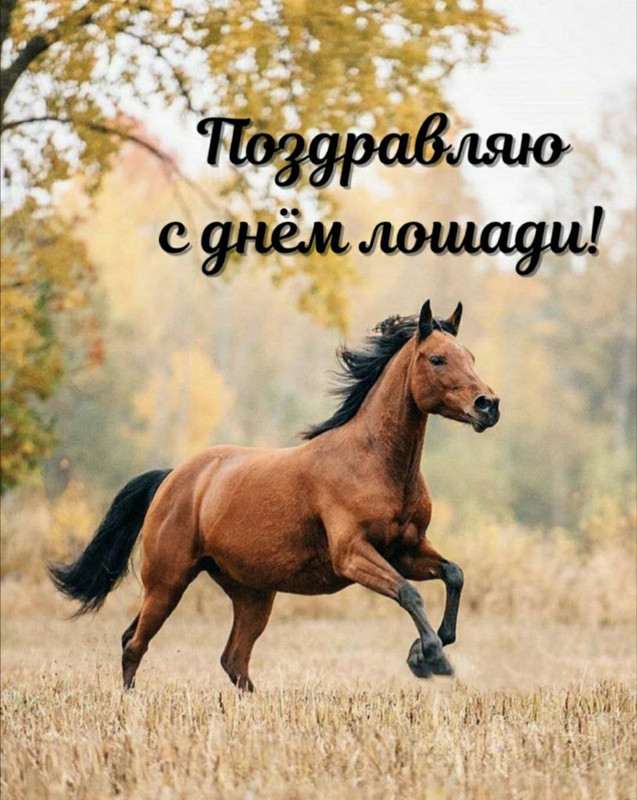 IMG_20230831_134138_744