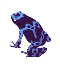 fcf51be7ee3c3696b83afefbe952f007-w200.webp