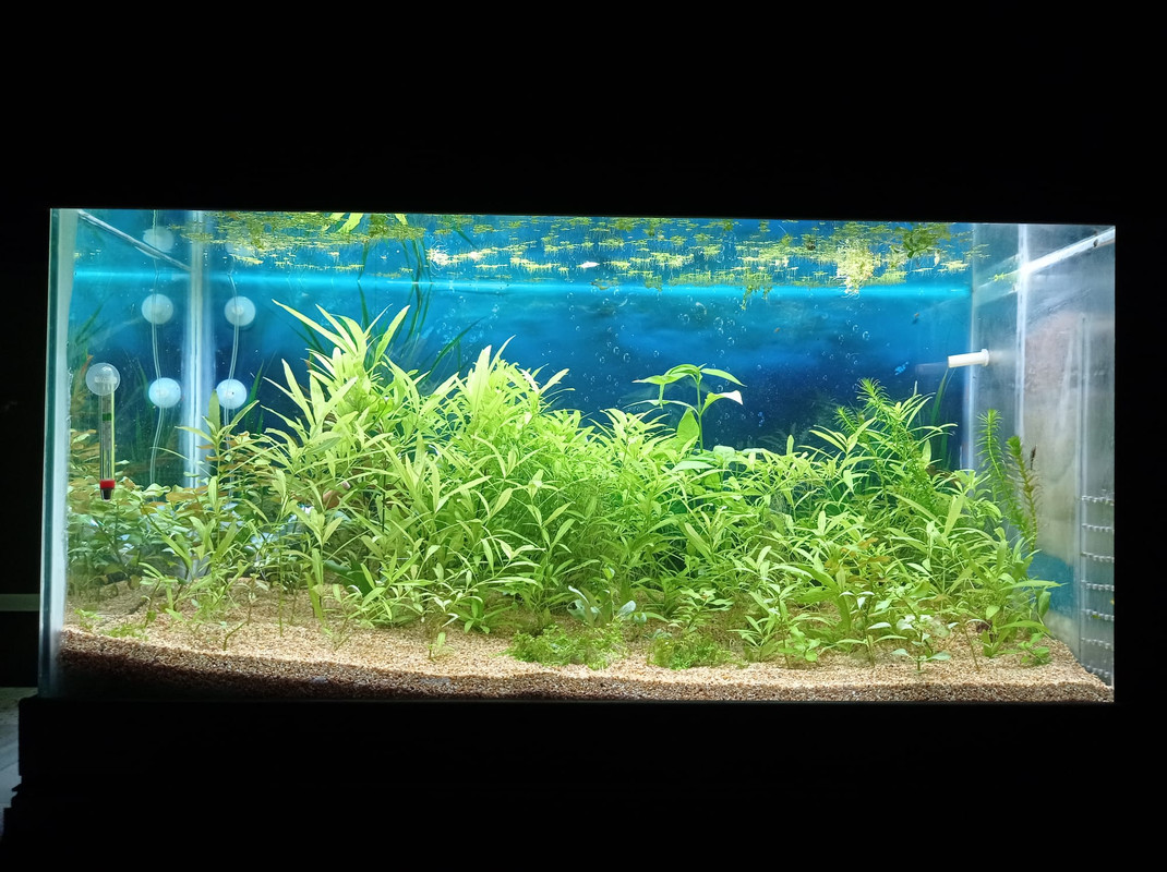 WhatsApp Image 2024-04-17 at 21.37.19 (1)