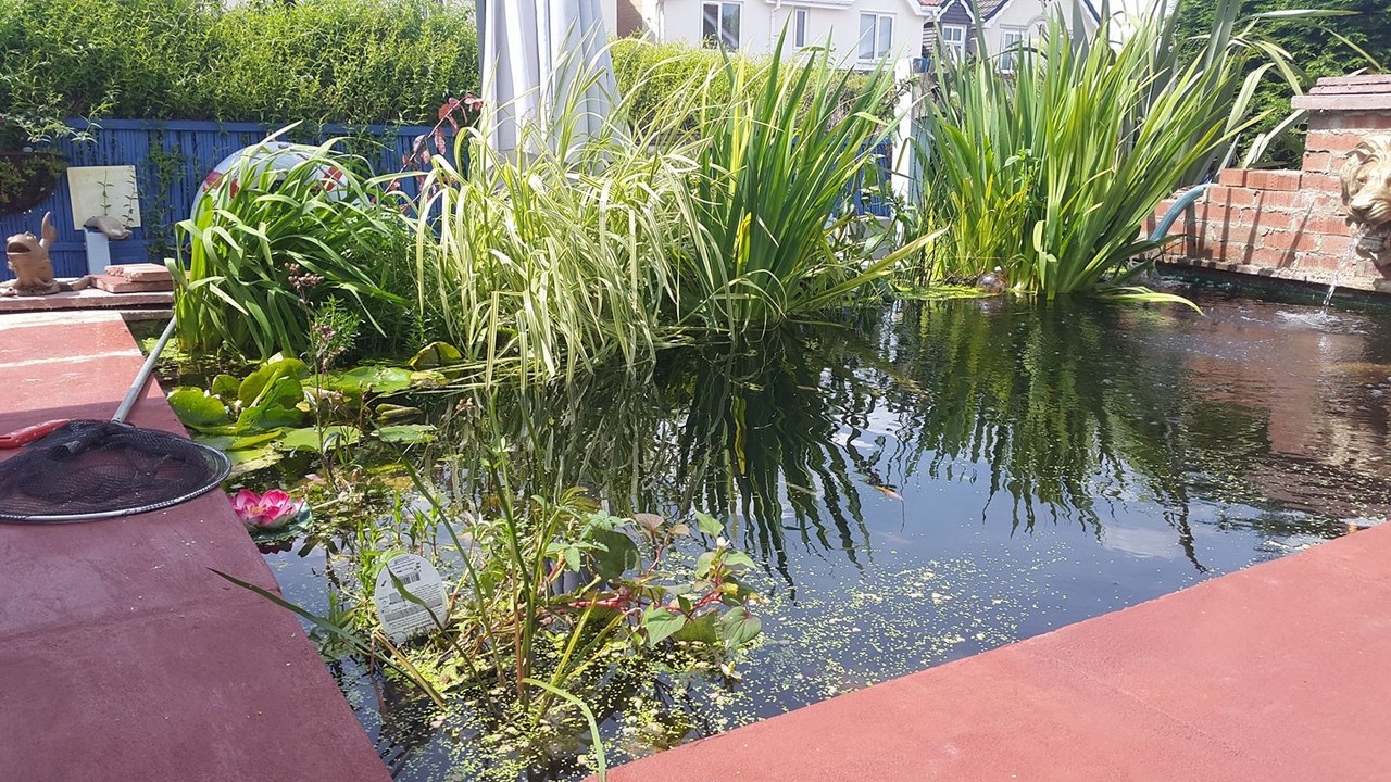 19956762_10213752882637829_1667390386618938771_o