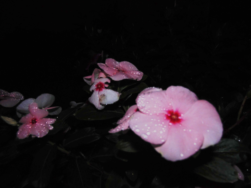 34.9.night IX (edit up)