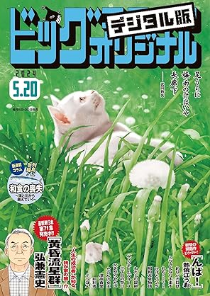 [Magazine][雑誌] ビッグコミックオリジナル 2024年10号