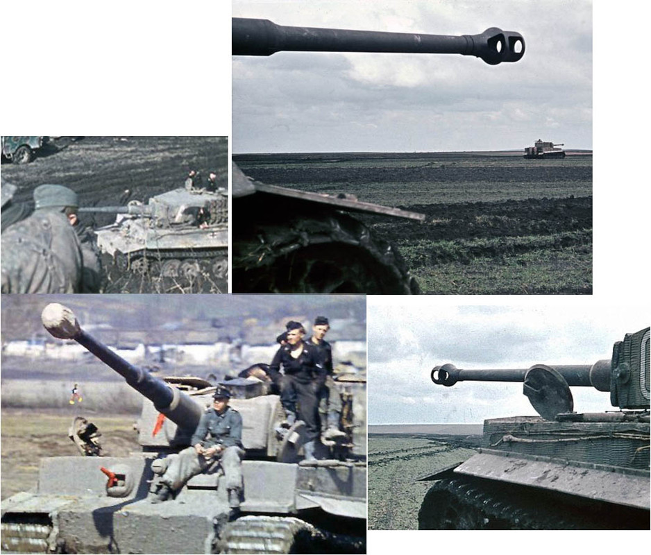 цвет ствола