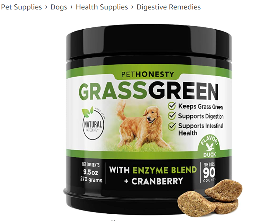 Stunning Do Dogs Use Grass To Supplement Diet image