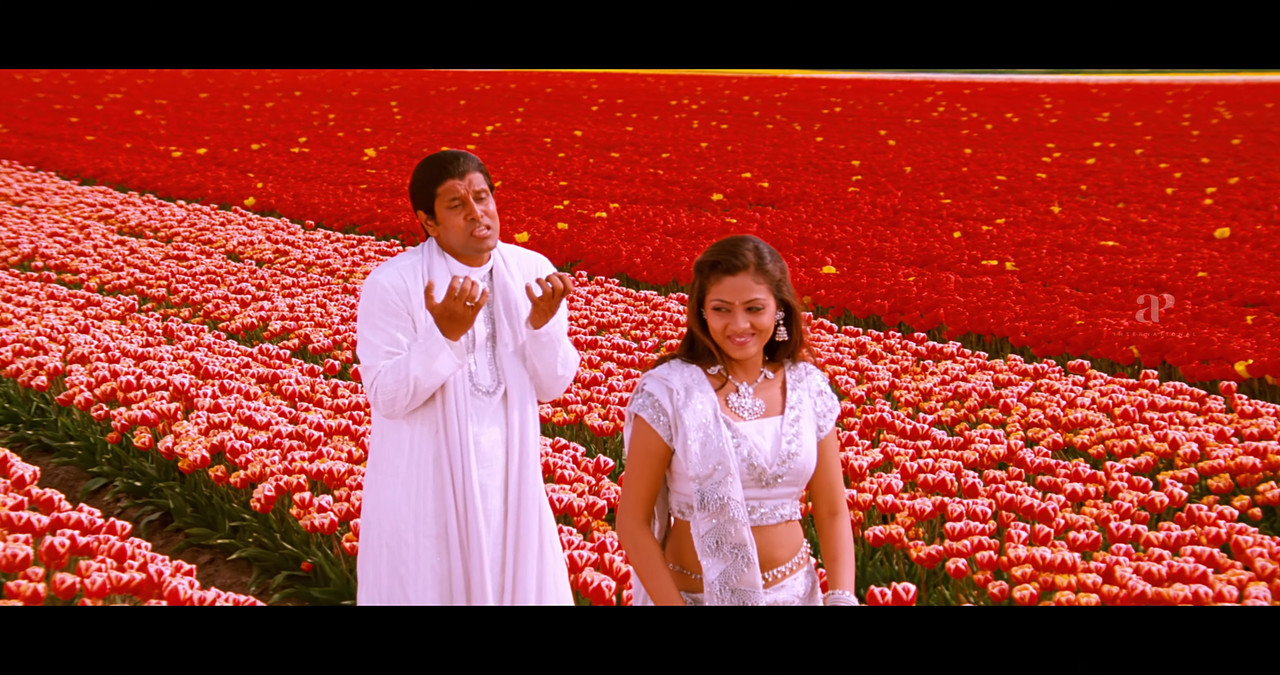 VideoCapture_20241122-195047