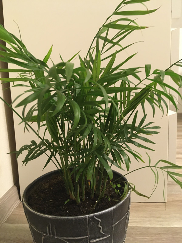 A40D5961-C02A-4978-9CEC-18BCCFBDF48E