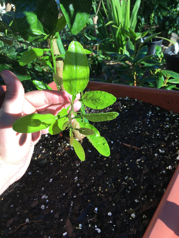 001109CB-F9A1-4F8F-BB83-BF762EDA6813