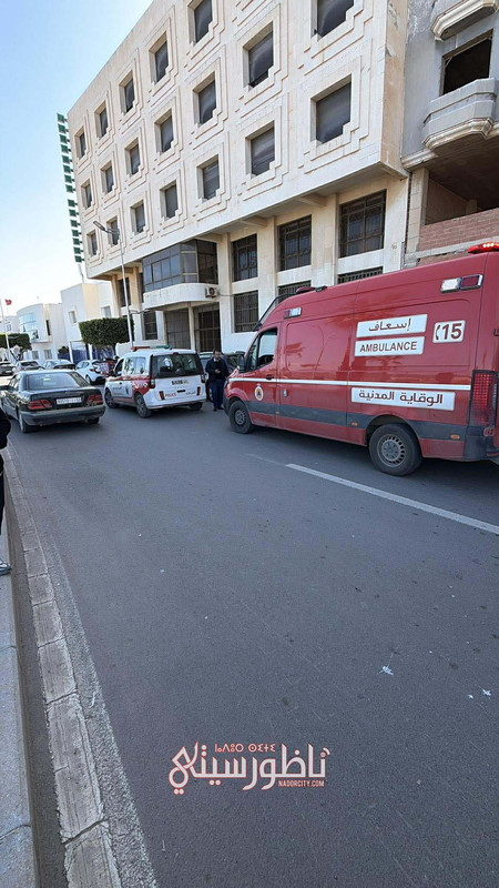 647195043-1870631890323126-6678099322718745633-n