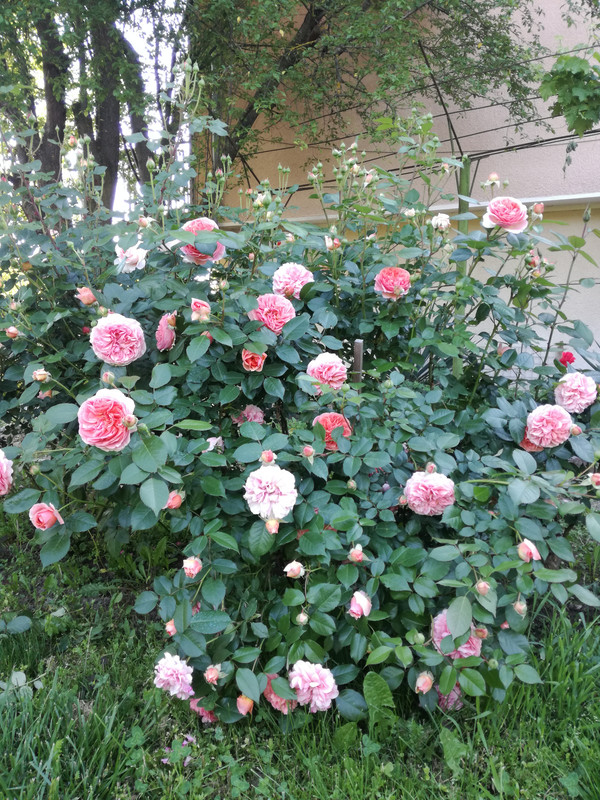 IMG_20220521_184322