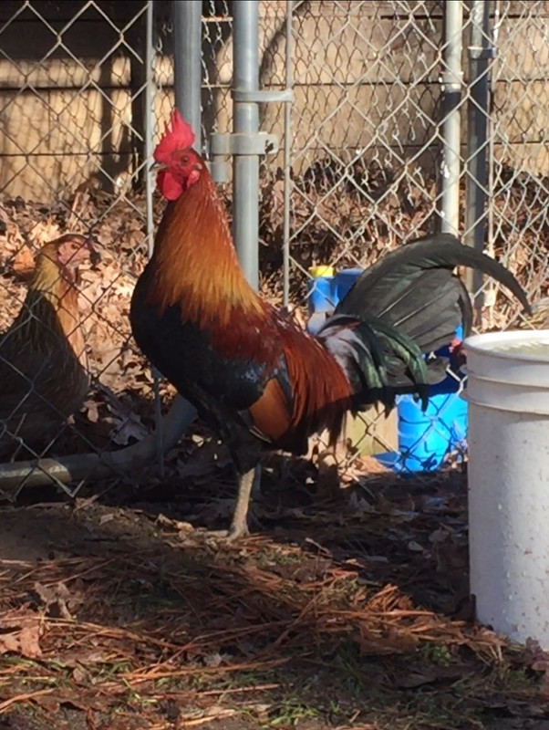 0E1F9778-5648-45D3-9FEA-8258D5996E86