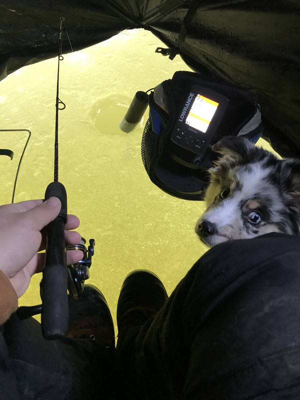 75B076C9-5FA9-455C-9FA3-2D713132CD5D