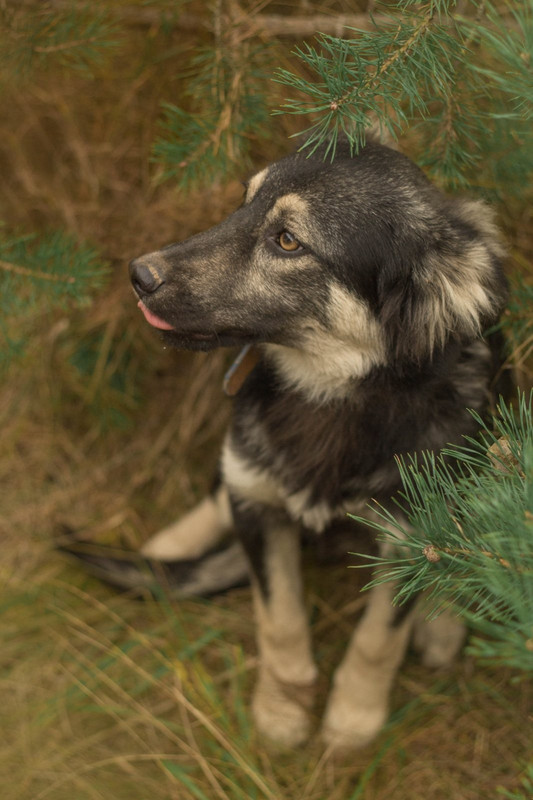 изображение_viber_2022-01-15_16-46-26-691