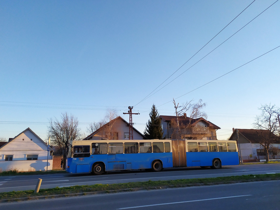 Neobus #734(1)