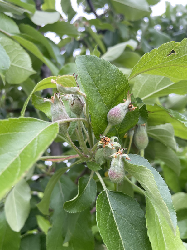 913A02A7-0A80-4A2E-8525-B8CE2CDC05D3