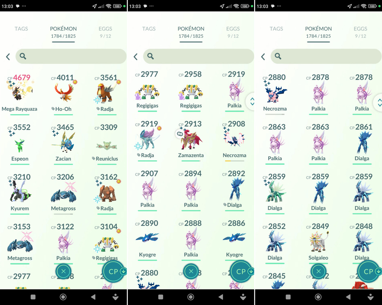 Polish 20260217 131349490