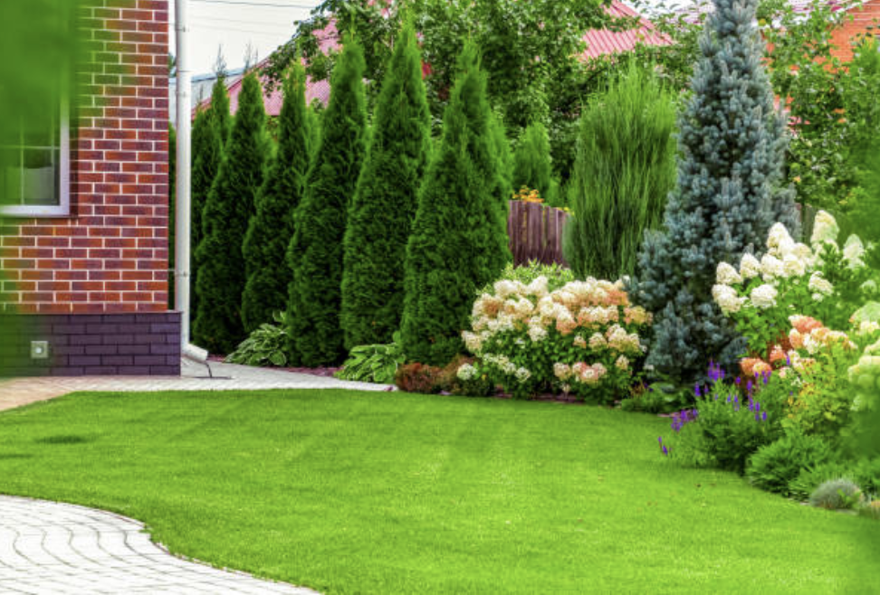 Landscaping & Garden Design