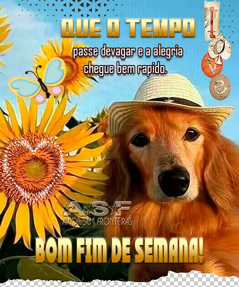 fim.gif