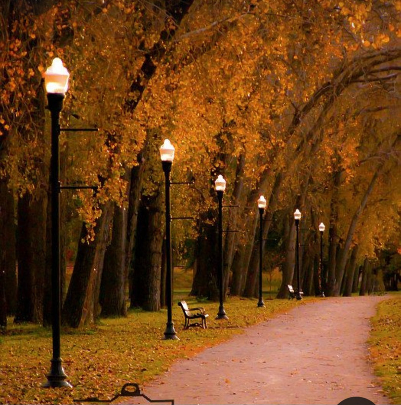 Screenshot_20231115_211412_Pinterest