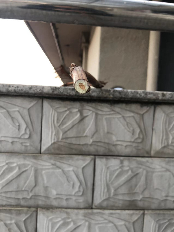 微信图片_20231227171219