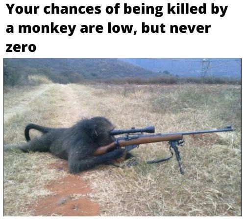 monkey